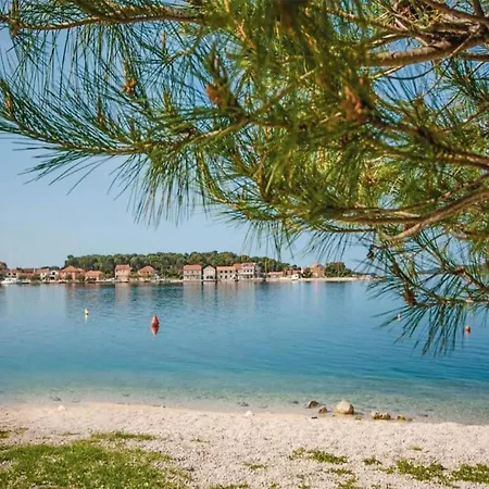 In Ibenik Near Adriatic Beaches ブロダリツァ